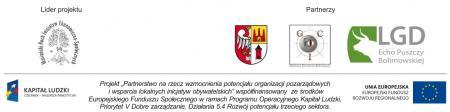 Logotyp dofinansowania