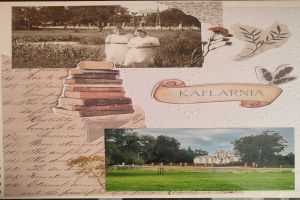 Zdjęcie: strona z albumu