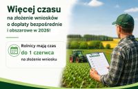 Grafika ozdobna